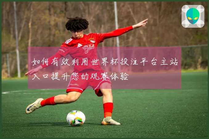 如何有效利用世界杯投注平台主站入口提升您的观赛体验