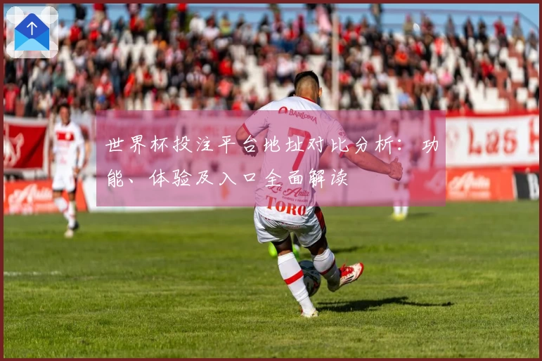 世界杯投注平台地址对比分析：功能、体验及入口全面解读