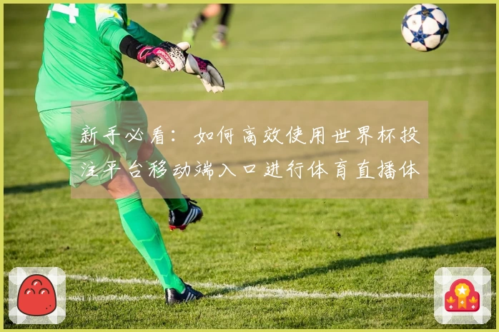 新手必看：如何高效使用世界杯投注平台移动端入口进行体育直播体验