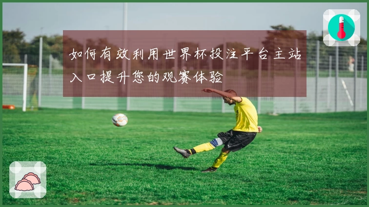 如何有效利用世界杯投注平台主站入口提升您的观赛体验